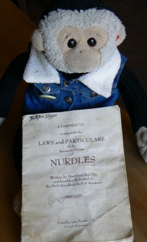 Mooch reads the Nurdling rules