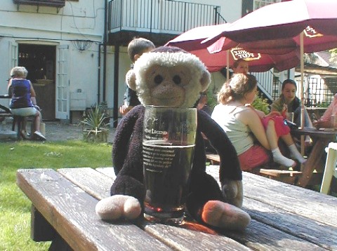 Mooch enjoys a pint of Tanglefoot in the garden