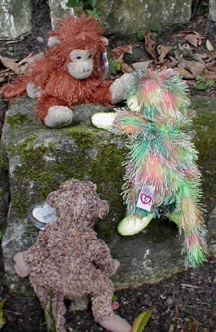 The lids rock climbing in the garden