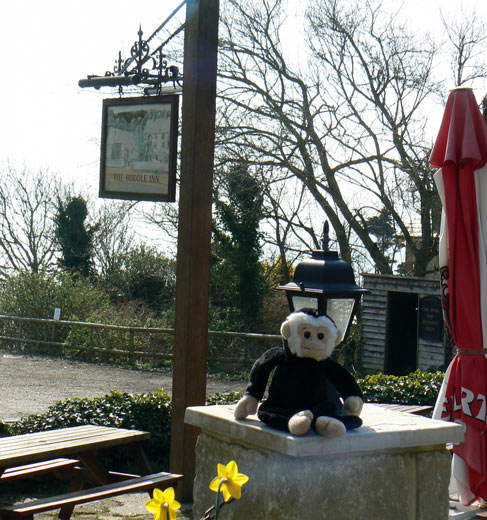 Monty monkey outside the Buddle Inn, Niton, Isle of Wight.