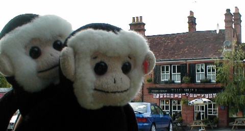 The Moochies outside the Bull Inn.