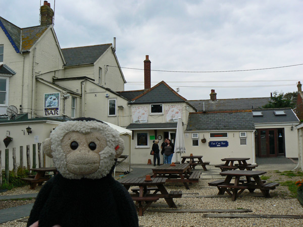 Mooch monkey outside the Fat Cat.