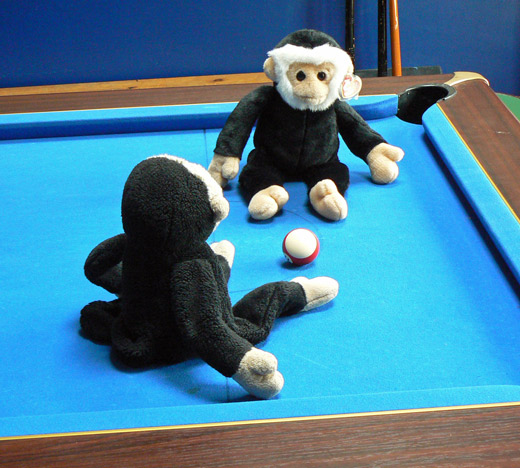 Mooch and Mina monkey on a pool table in the Fat Cat.