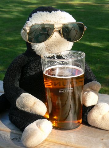 Mooch enjoys a sunny afternoon pint