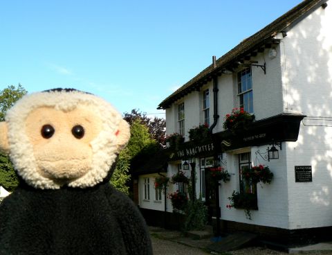 Mooch in front of the Haycutter