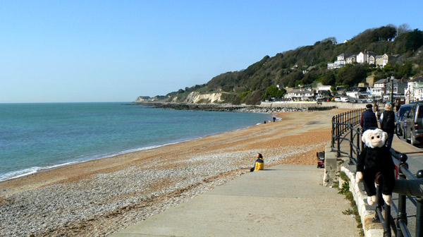 Monty monkey at Ventnor Bay on the Isle of Wight.