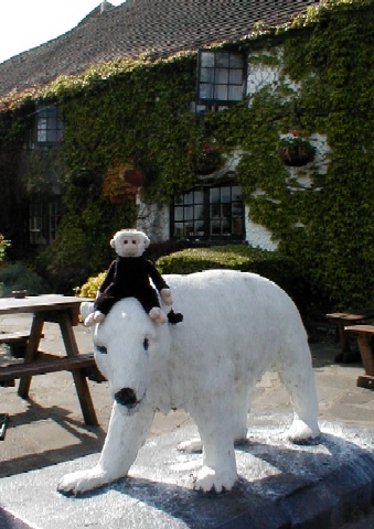 Mooch sits on the bear.