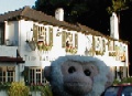 Mooch outside the Barley Mow.