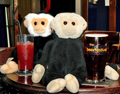 Mina and Mooch monkey have a drink in the Fat Cat.