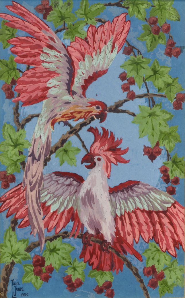 A painting of two cockatoos by Lewis Jones.