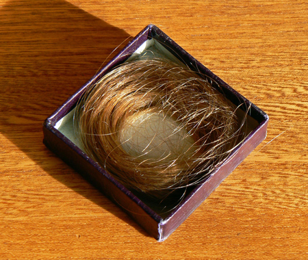 A lock of Una's hair cut off when she was a young child.