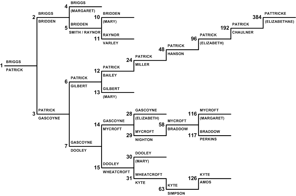 Una's look back family tree