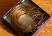A lock of my hair cut off when I was a young child.