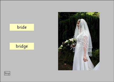 APE Tester screen - Bride or Bridge?