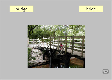 APE Tester screen - Bride or Bridge?