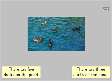 APE Tester screen - How many ducks and where?