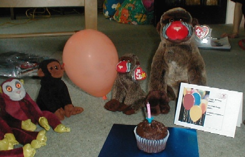 A Cheeks birthday party