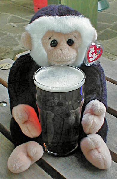 Mooch monkey with a beer