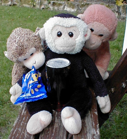 Mooch enjoys a pint and peanuts with Bonsai and Bongo.