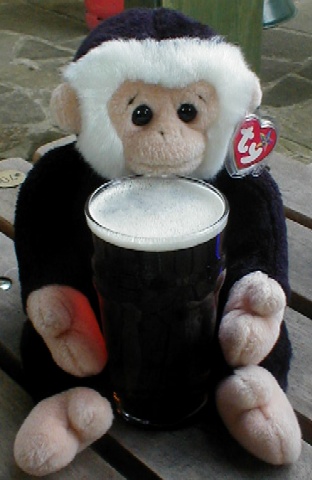 One of Mooch's first beers - he's clean and still has his tag!