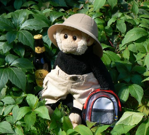 Mooch in his pith helmet goes beer hunting