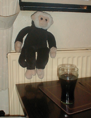 There was too much ice in that drink for Mooch so he sits on a heating radiator.