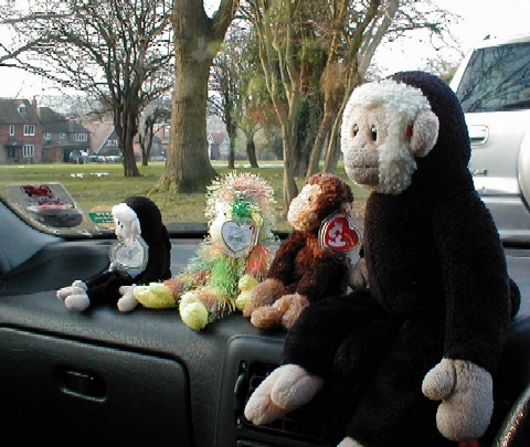 Mooch, Moochie & friends wait for Annie to come out from school