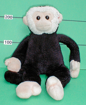 Mooch monkey www.mooch.org.uk