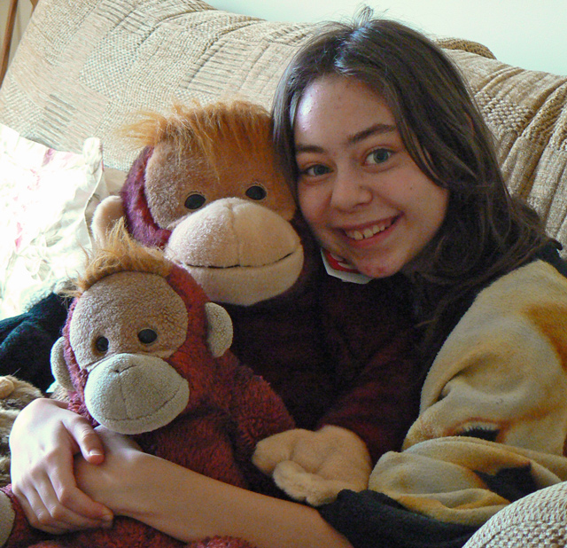 Big Brother and Big Mama Schweetheart orangutans cuddled by Annie.