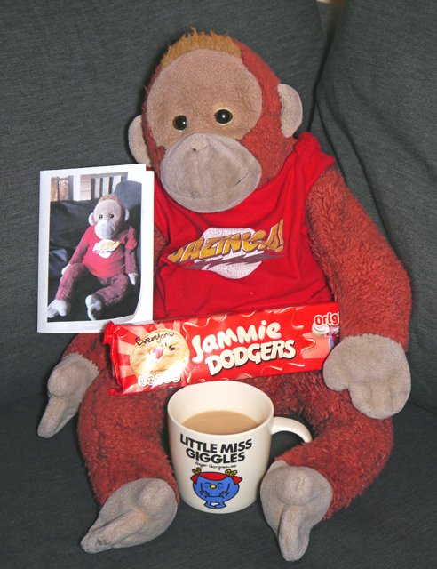 Big Mama TY Schweetheart orangutan with birthday presents.
