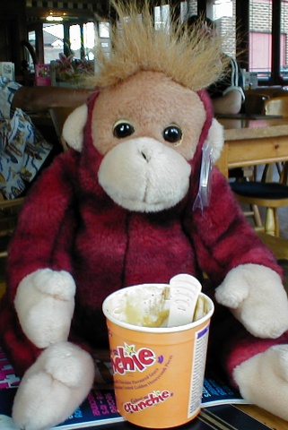 Schweetie, our TY Schweetheart Buddie, has finished her ice cream.