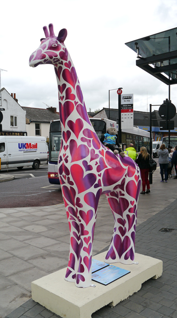 Mooch monkey at Stand Tall for Giraffes in Colchester 2013 - 11 Love Hearts