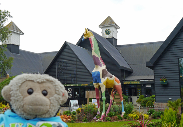 Mooch monkey at Stand Tall for Giraffes in Colchester 2013 - Colchester Zoo