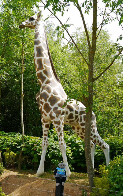 Mooch monkey at Stand Tall for Giraffes in Colchester 2013 - Colchester Zoo