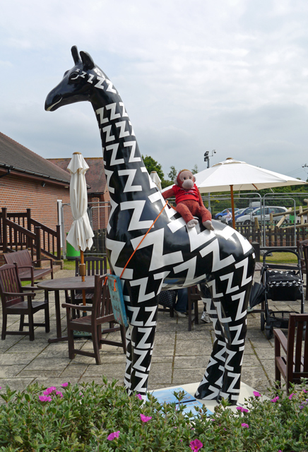 Mooch monkey at Stand Tall for Giraffes in Colchester 2013 - 27 Five Winks