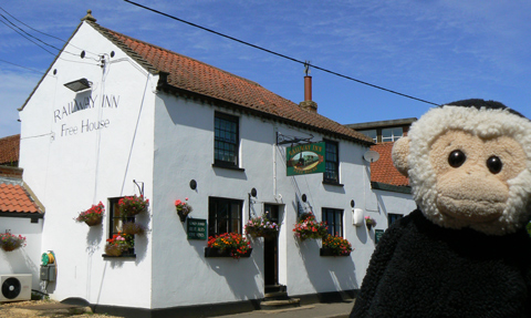 Mooch monkey at Railway Inn, Docking, Norfolk