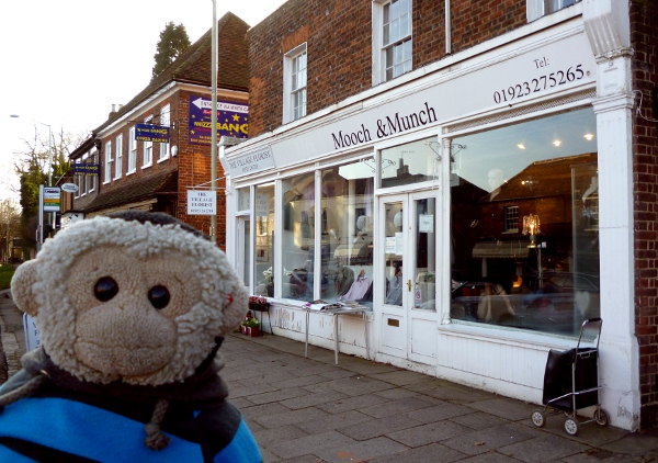 Mooch monkey outside Mooch & Munch in Kings Langley.