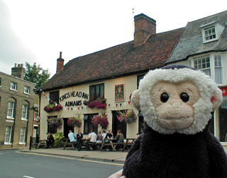 Mooch monkey at Kingshead, Woodbridge, Suffolk