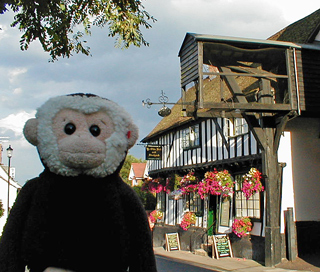 Mooch monkey at Ye Olde Bell & Steelyard, Woodbridge, Suffolk