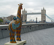 Colchester giraffes visit London