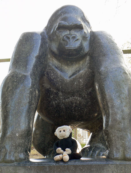 Mooch monkey meets Guy the Gorilla in Crystal Palace Park.