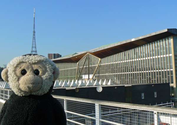 Mooch monkey outside the National Sports Centre in Crystal Palace Park.