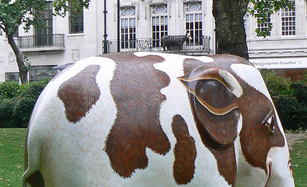 Mooch monkey at the London Elephant Parade - 034 Little Moo with a Cow Parade cow!