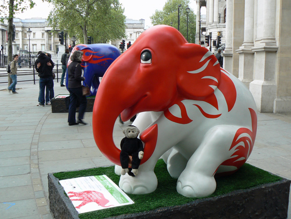 Mooch monkey at the London Elephant Parade - 144 Kings XI Punjab.