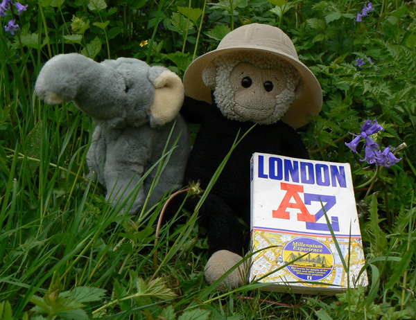 Mooch monkey in a pith helmet with his elephant friend and a London A to Z