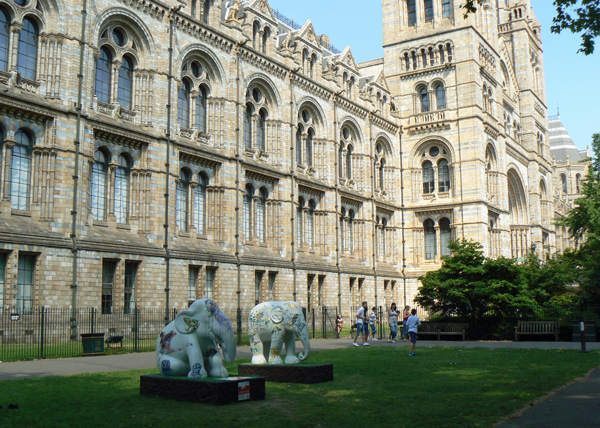 London Elephant Parade - Natural History Museum.