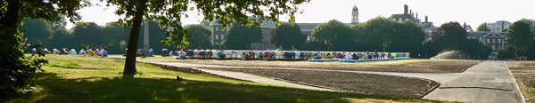 London Elephant Parade - Mooch monkey at Royal Hospital Chelsea