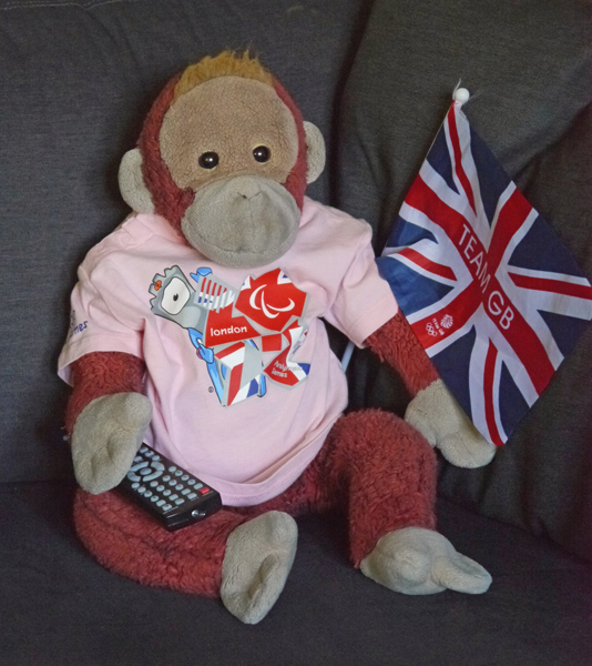 Big Mama Schweetheart orangutan watches the London 2012 Olympics and Paralympics