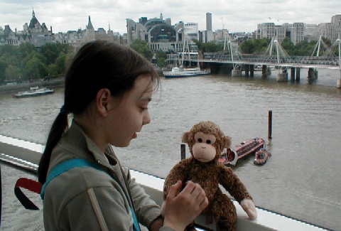 Bonsai with Annie in a London Eye pod