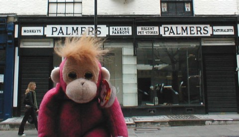 Palmers pet shop, Camden